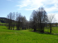 Gewässererlebnispfad Eubabrunn